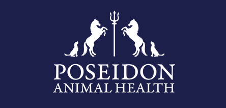 Screenshot 2024-12-05 at 5.06.27 PM